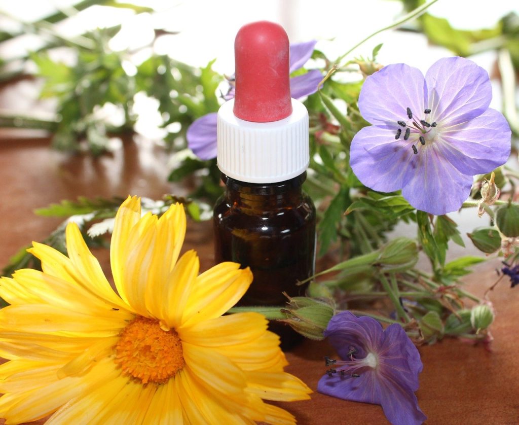 natural medicine, flower essences, natural